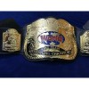 World Tag Team Championship Title Gold Version HG-5006Z