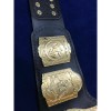 World Tag Team Championship Title Gold Version HG-5006Z