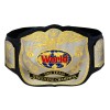 World Tag Team Championship Title Dual Version HG-5006DZ