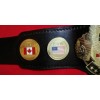 ECW World Television Title HG-5001Z