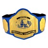 NWA Tag Team Belt Zinc Plated Replica HG-5002Z