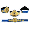 NWA Tag Team Belt Zinc Plated Replica HG-5002Z