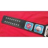 NWA Television Wrestling Heavyweight Zinc Belt HG-5003Z