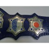 TNA Wrestling Championship Belt Zinc HG-5043Z