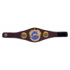 WBO Boxing Champion Belt HG-502