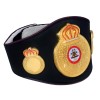 WBA Boxing Champion Belt HG-503