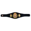 WBA Boxing Champion Belt HG-503